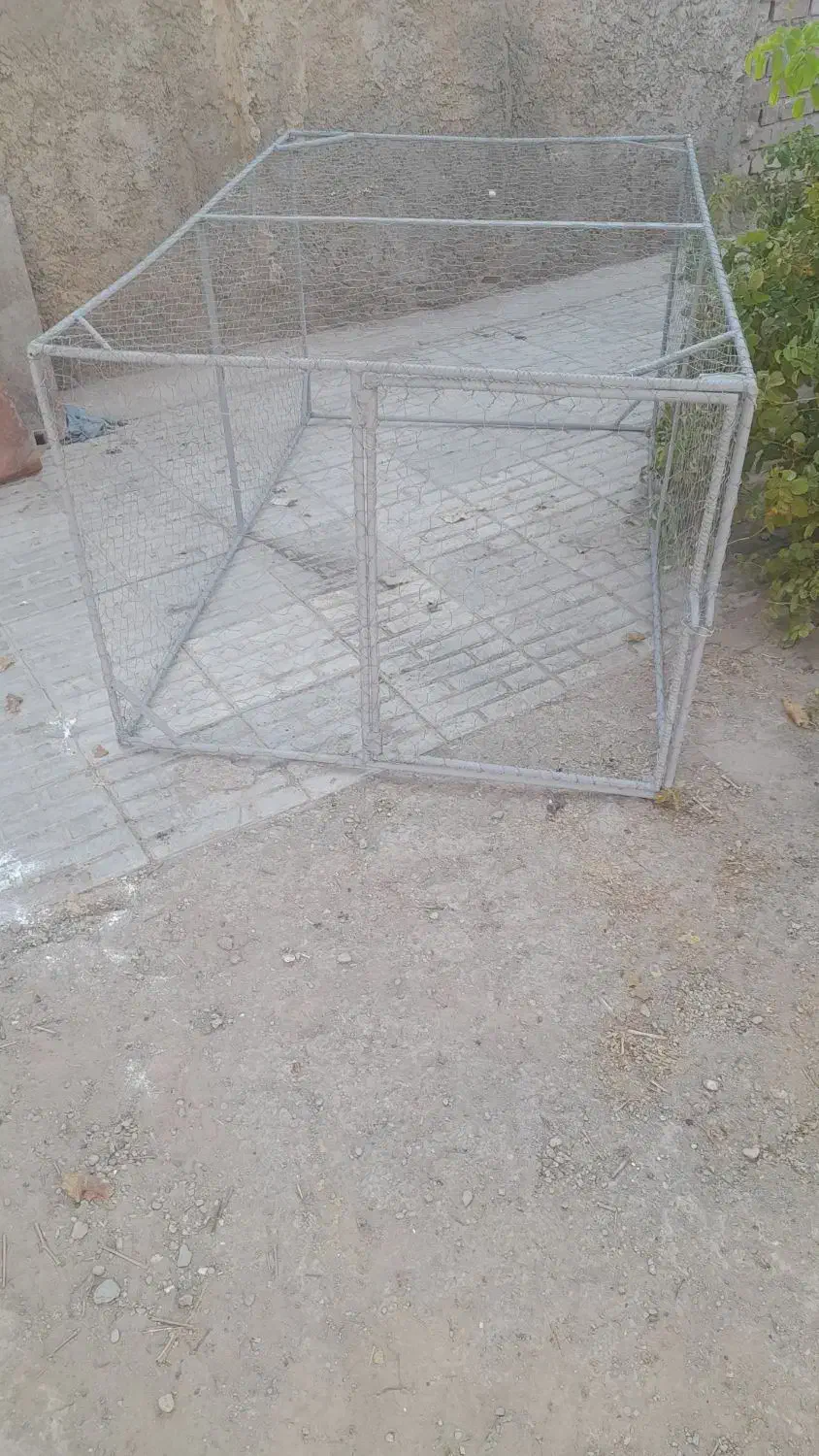 توری مرغ|لوازم جانبی حیوانات|زرند, |دیوار