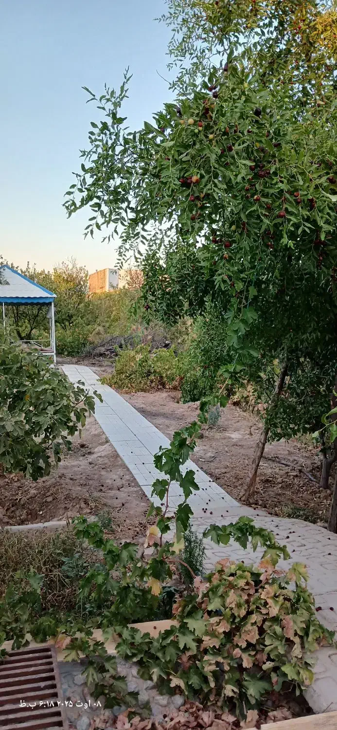 باغ ویلای 1440 متری سنددار در کاشمر|فروش خانه و ویلا|کاشمر, |دیوار