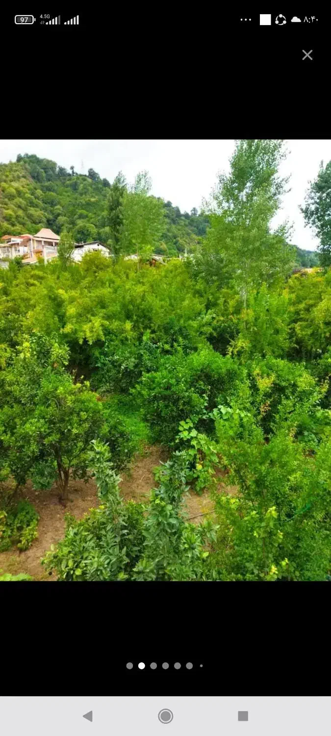 ویلای جنگلی دوخواب تمیزنزدیک دریا|اجارهٔ کوتاهمدت ویلا و باغ|رامسر, |دیوار