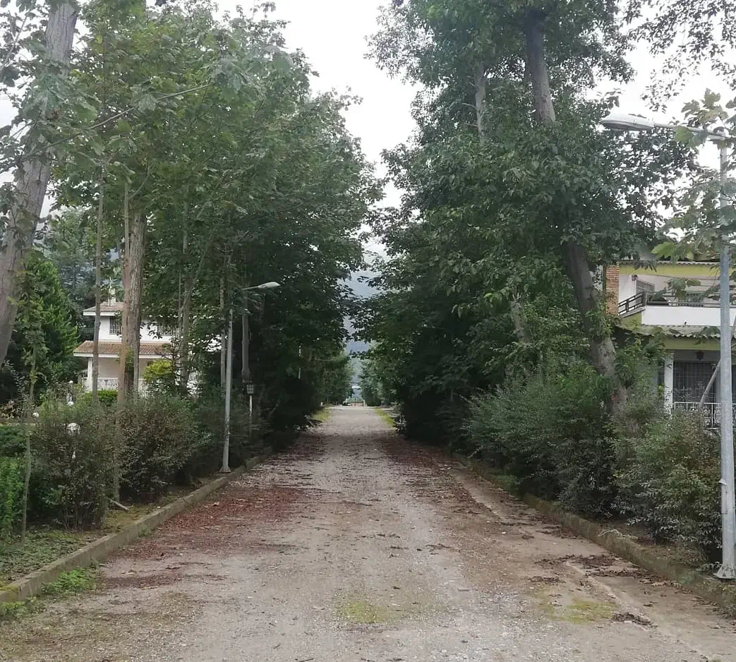 نوشهر منطقه چلندر ۴۰۰ مترزمین باسندششدانگ|فروش زمین و ملک کلنگی|نوشهر, |دیوار