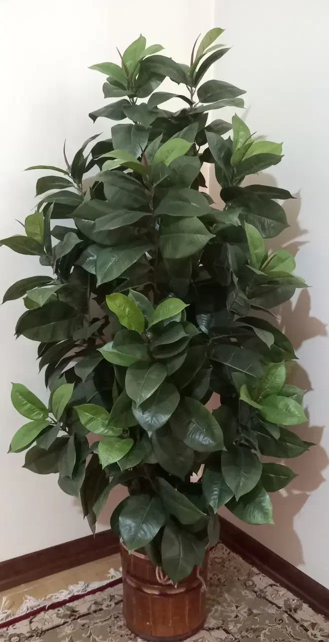 درختچه ارتفاع۱۵۰|گل مصنوعی|تهران, شهرک ولیعصر شمالی|دیوار