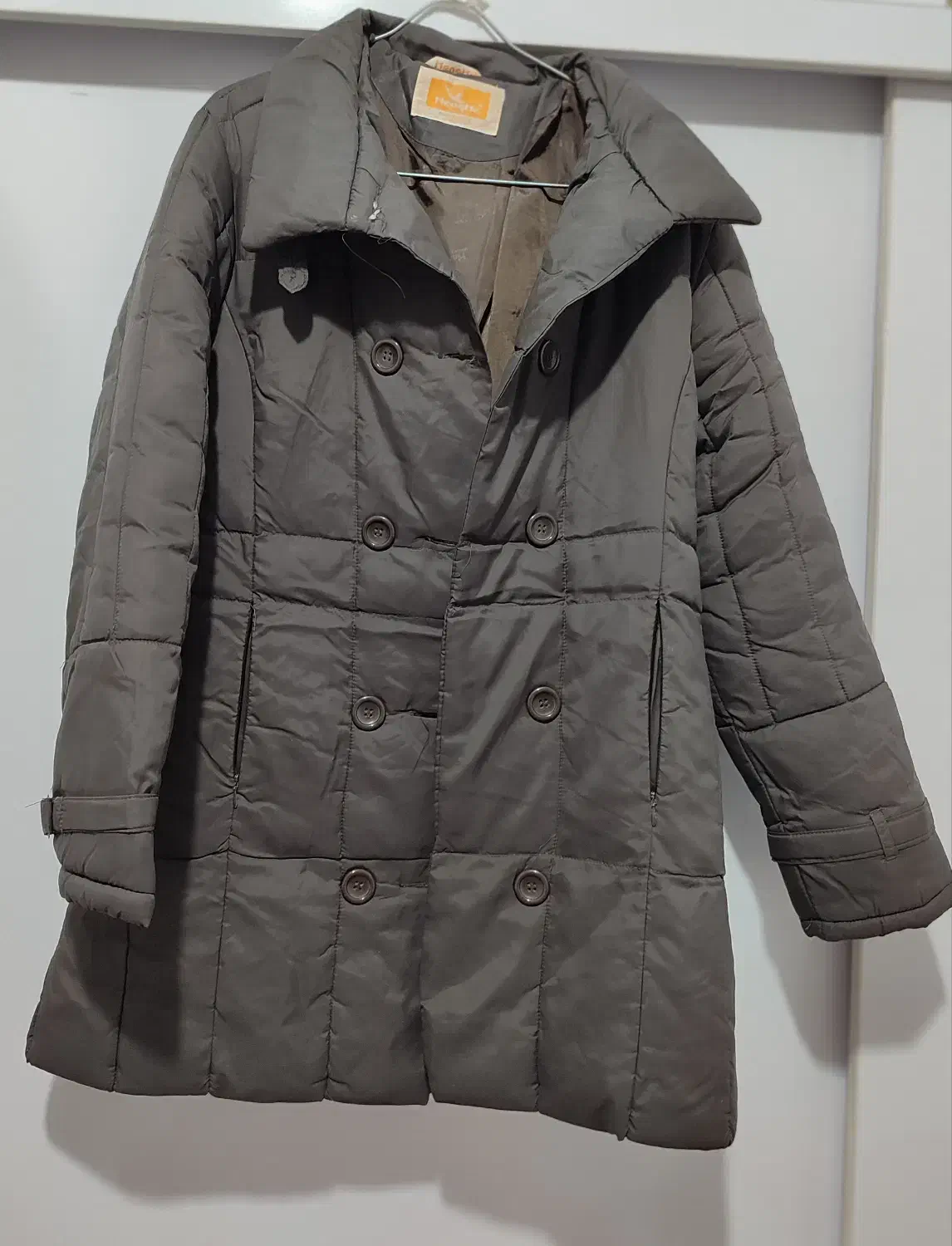 کاپشن بادی|لباس|سقز, |دیوار