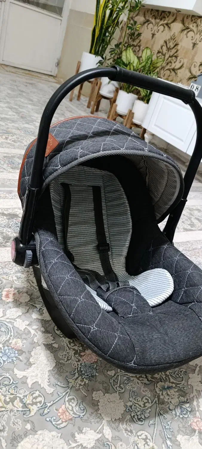 کریر|کالسکه و لوازم جانبی|کاشمر, |دیوار