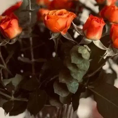 بخون|کتاب و مجله مذهبی|تهران, دکتر هوشیار|دیوار