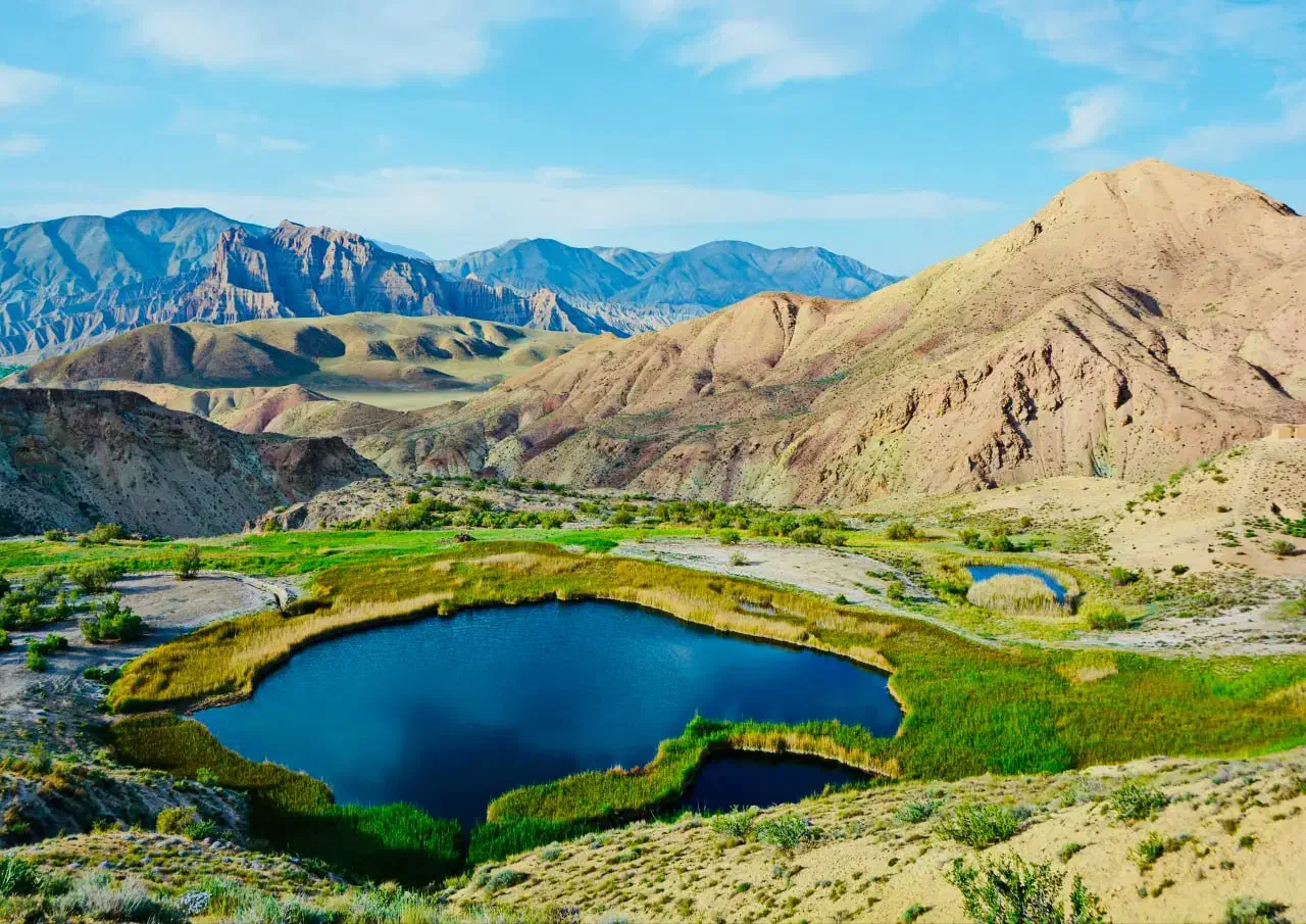 پارتنر|فعالیت داوطلبانه|تهران, امانیه|دیوار