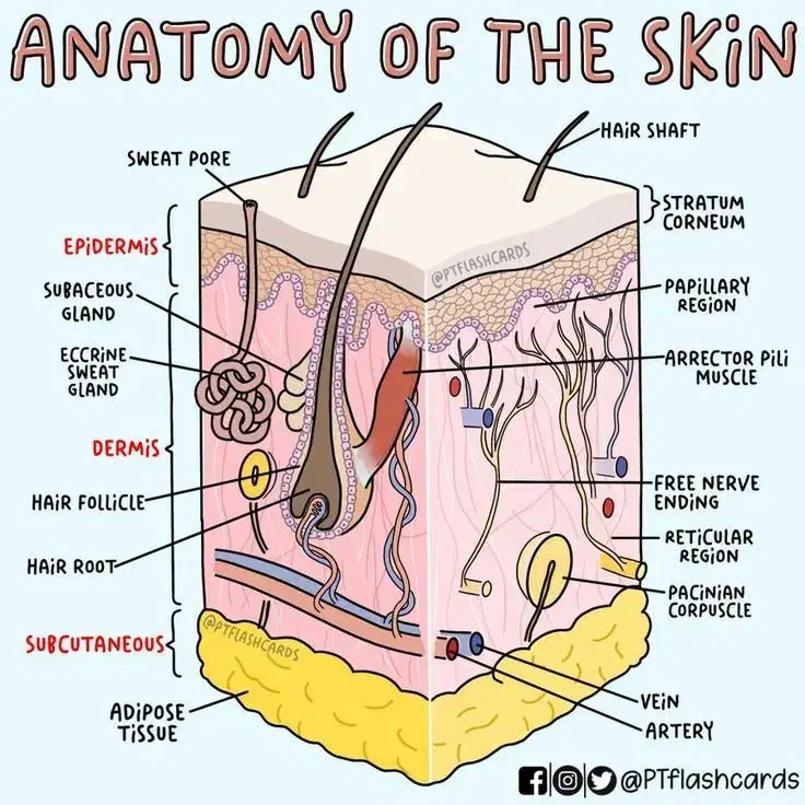 این یک اگهی هوشمند است|خدمات آموزشی|تهران, نیلوفر|دیوار