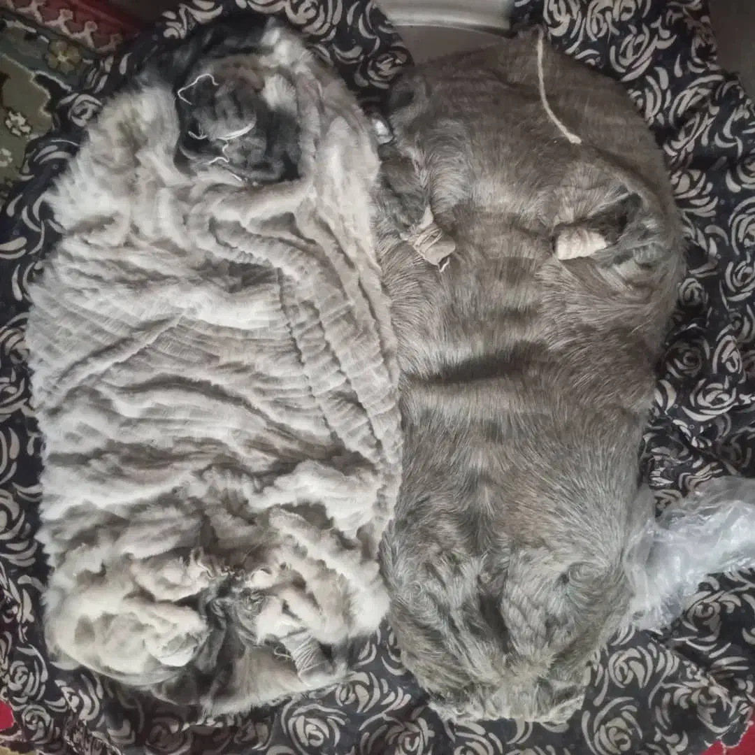 خیگ چهار انگله|ظروف سرو و پذیرایی|دزپارت, |دیوار