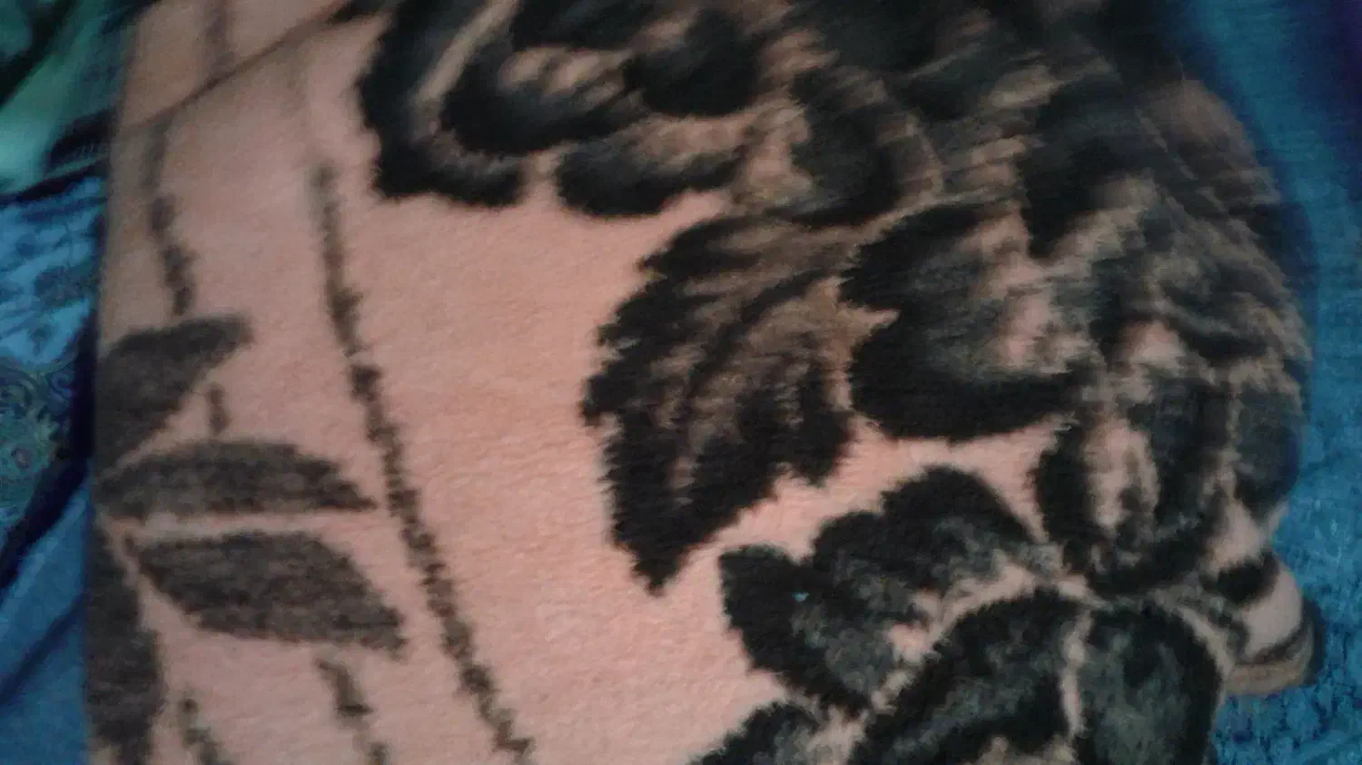 تعدادی وسیله منزل|مبلمان خانگی و میز عسلی|کرمانشاه, |دیوار