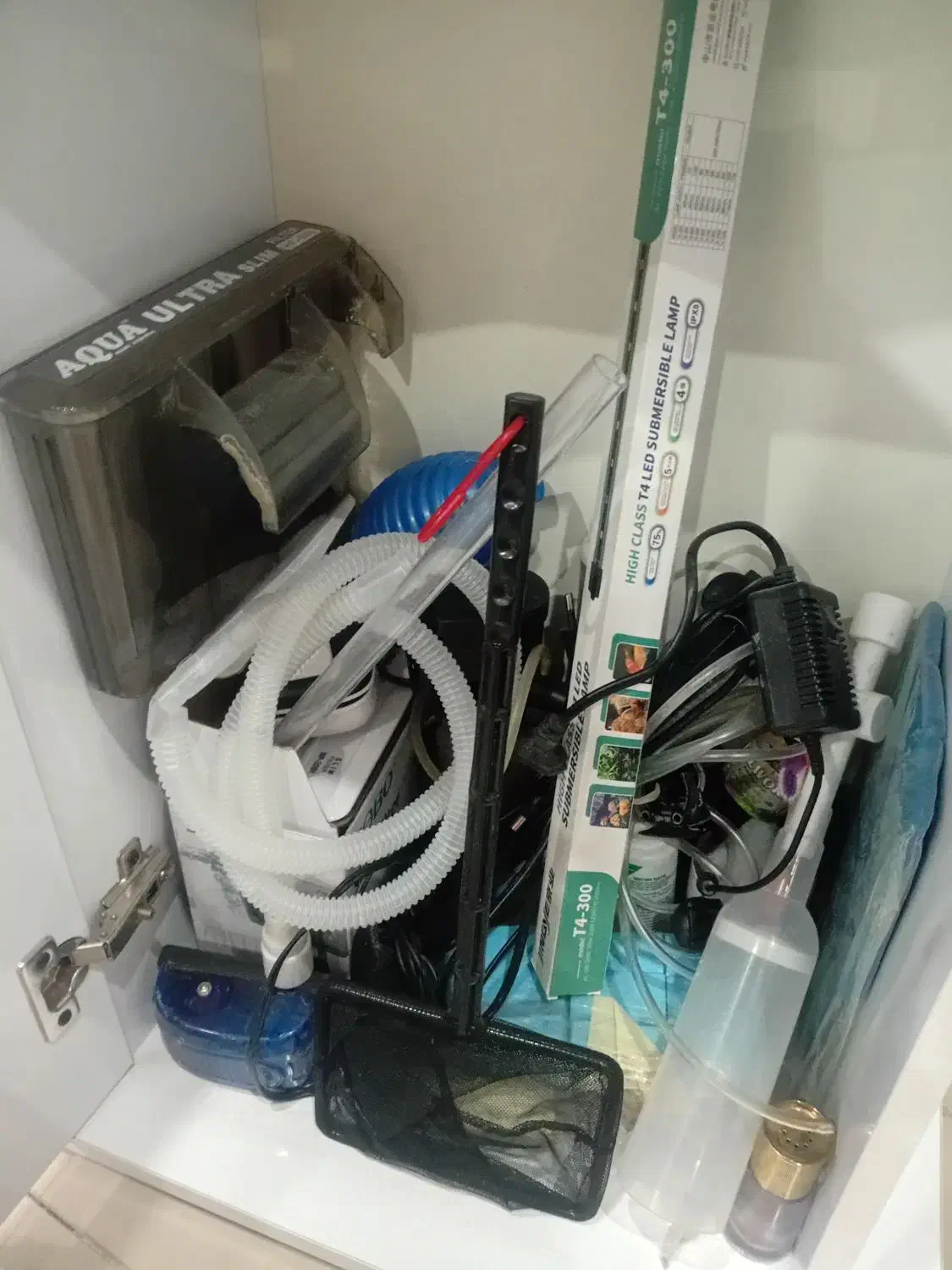 اکواریوم|ماهی|کرج, شهرک بنفشه|دیوار