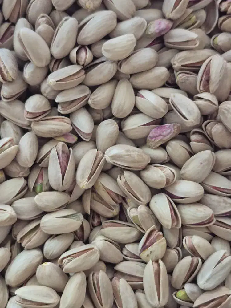 مواد غذایی|خوردنی و آشامیدنی|قائم‌شهر, |دیوار