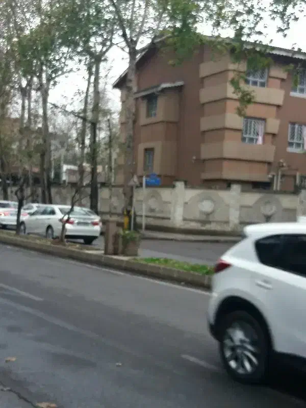 نظافت منزل|خدمات نظافت|رشت, کاکتوس|دیوار