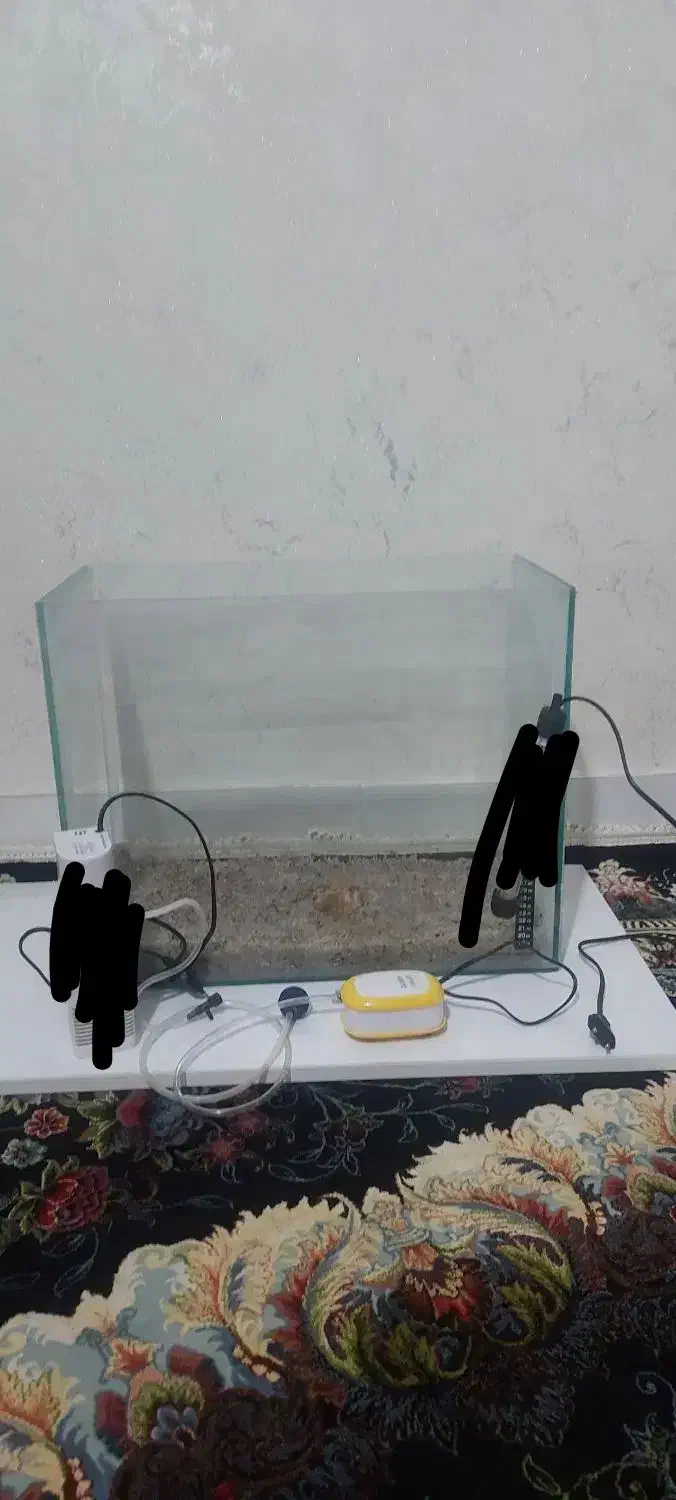 آکواریوم|ماهی|مرودشت, مسکن مهرگان|دیوار