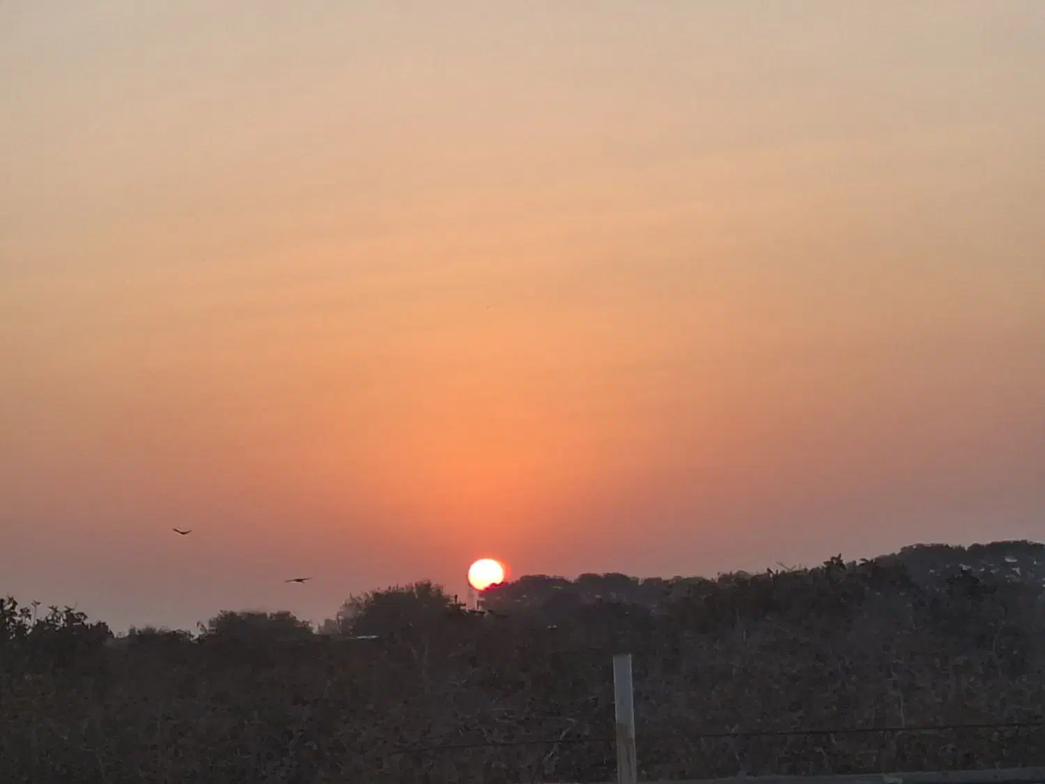 افتتاح گیم نت|کنسول، بازی ویدئویی و آنلاین|یزد, |دیوار