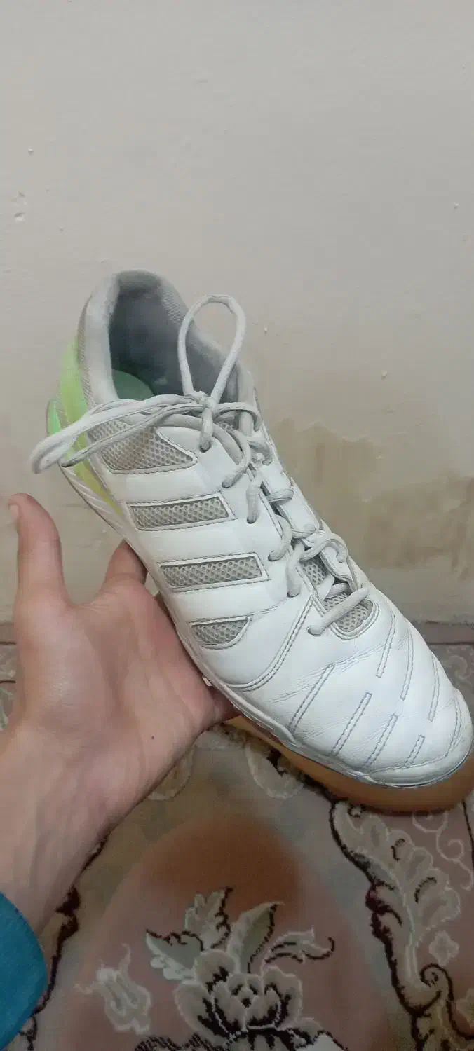 کتونی فوتسال تاپ سالا|کیف، کفش، کمربند|قم, صدوق|دیوار