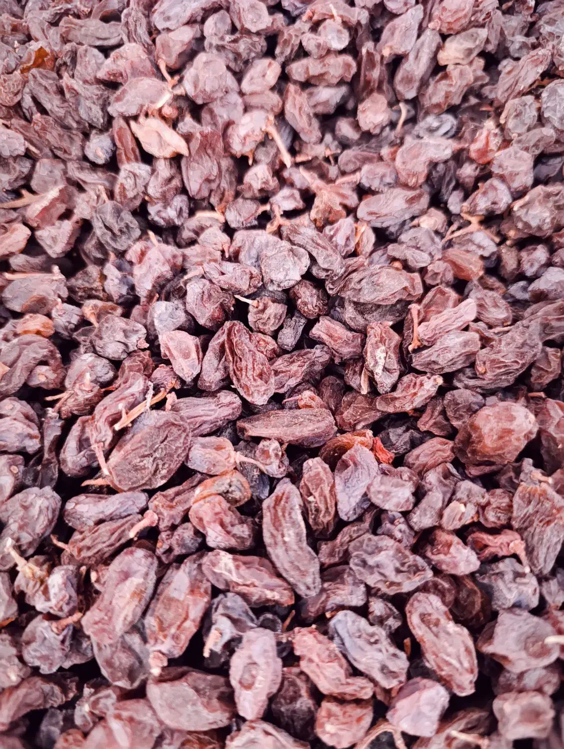 مویز کیلو ۱۵۰|خوردنی و آشامیدنی|شیراز, محمودیه|دیوار