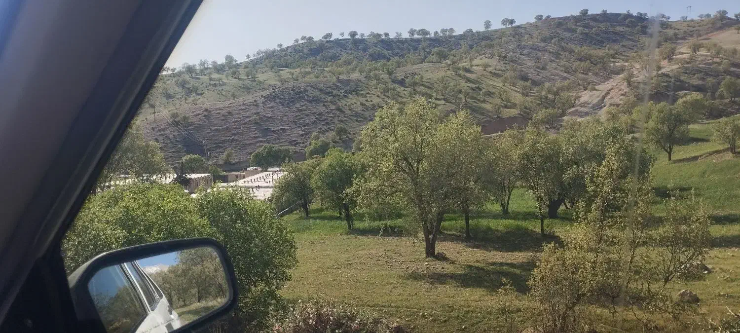 زمین کشاورزی روی آسفالت 1600متر|فروش زمین و ملک کلنگی|سی‌سخت, |دیوار