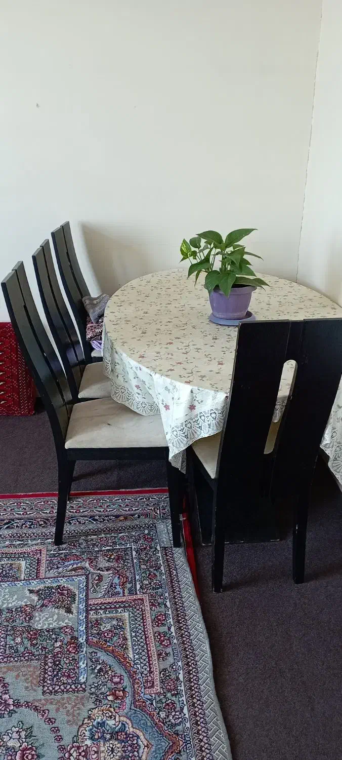 میز ناهار خوری|میز و صندلی غذاخوری|تربت جام, المهدی|دیوار