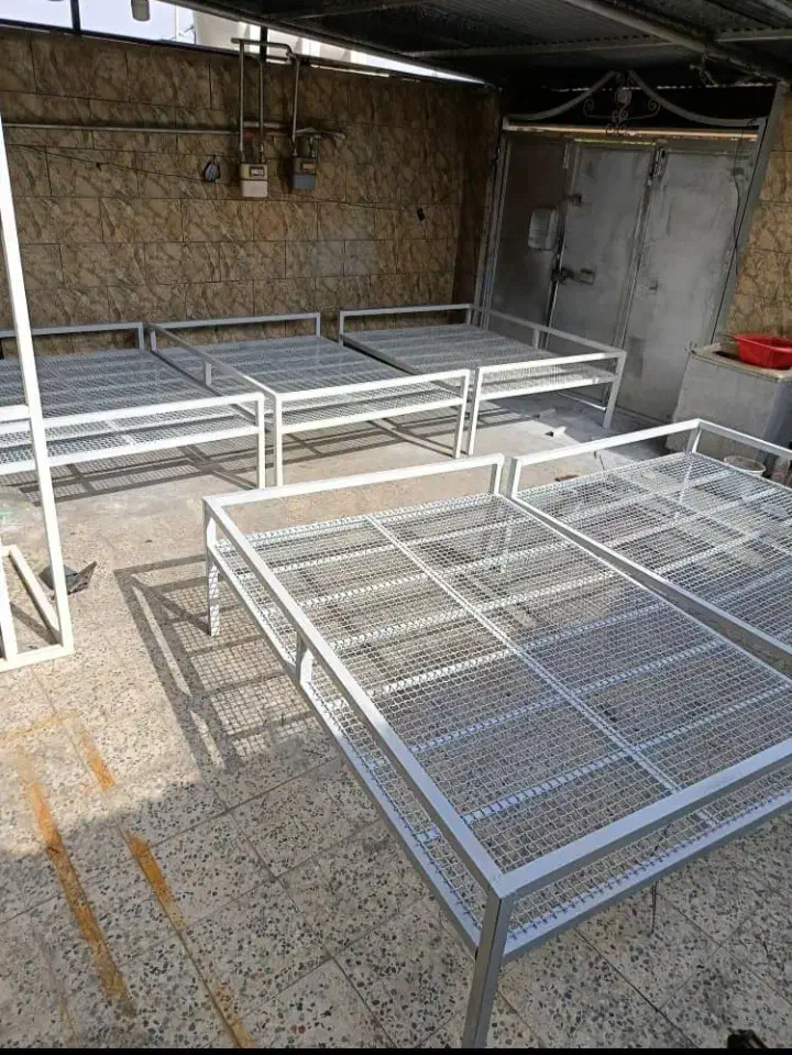 تخت فلزی|تخت و سرویس خواب|دوگنبدان, |دیوار