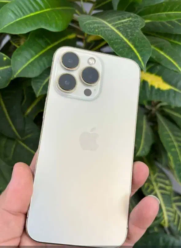 iphone 13pro 256|موبایل|شیراز, شهرک گلستان|دیوار