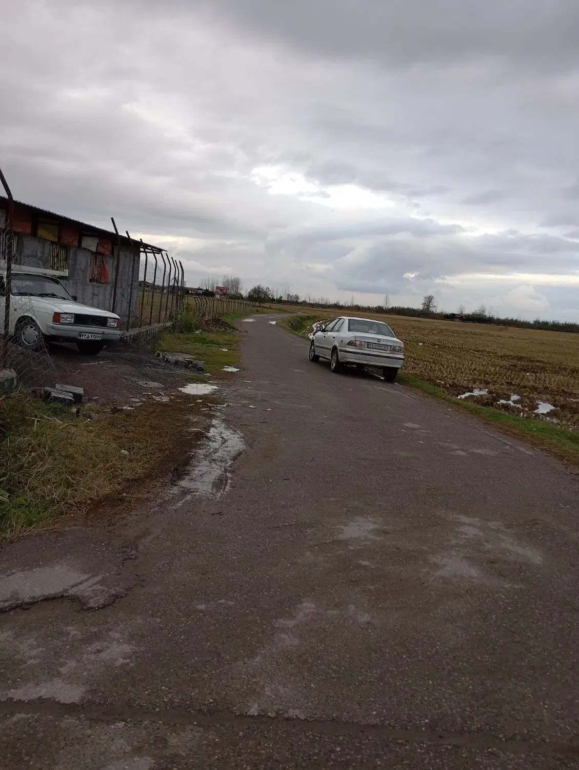 زمین ۴هکتاری جای خوب و موقعیت خوب|فروش زمین و ملک کلنگی|دابودشت, |دیوار