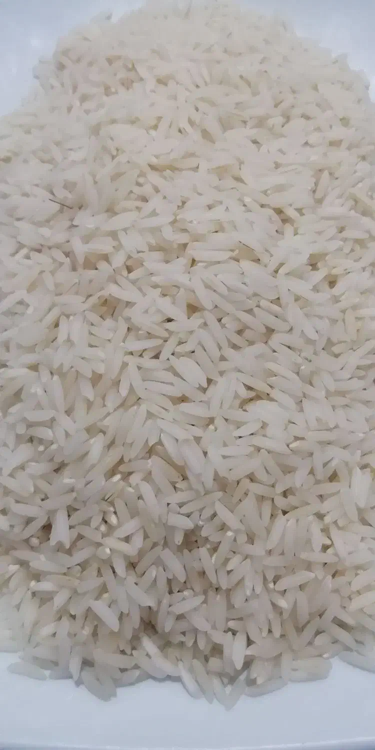 برنج هاشمی|خوردنی و آشامیدنی|رشت, فلسطین|دیوار