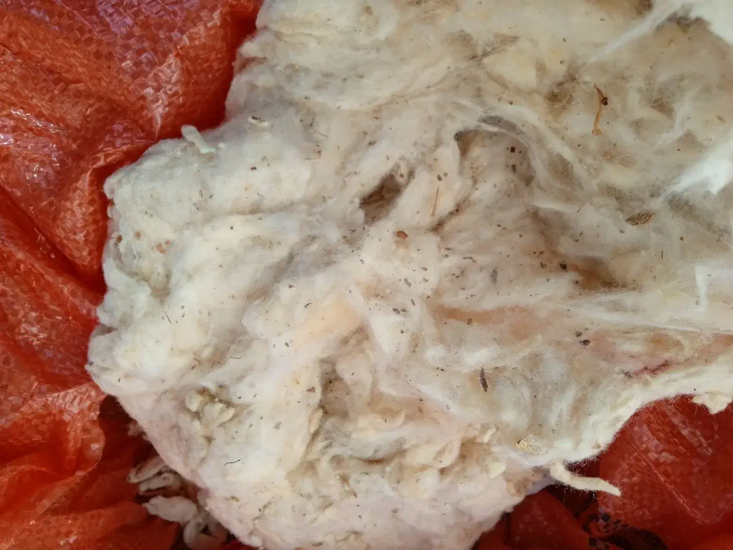 پنبه|رختخواب، بالش، پتو|شیراز, بازار|دیوار