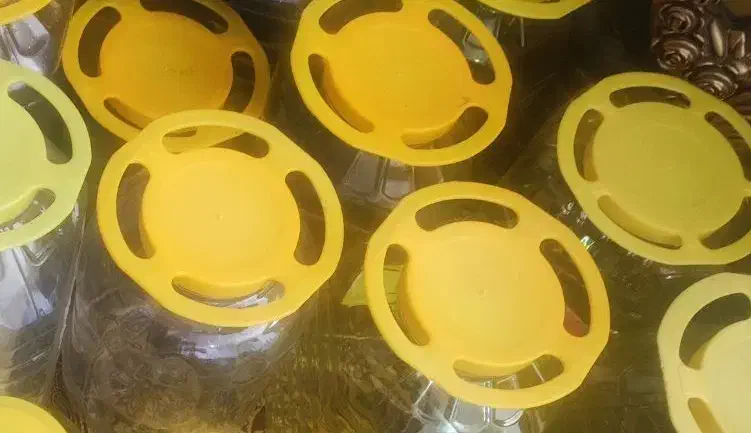 تعداد۷عدد دبه ۱۰کیلویی درب فرمانی تمیز وسالم|ظروف نگهدارنده، پلاستیکی، یک‌بارمصرف|ایلام, |دیوار