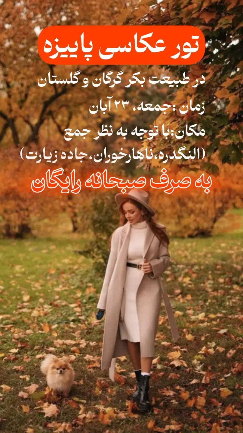 تور عکاسی پاییزه|خدمات پذیرایی، مراسم|گرگان, |دیوار