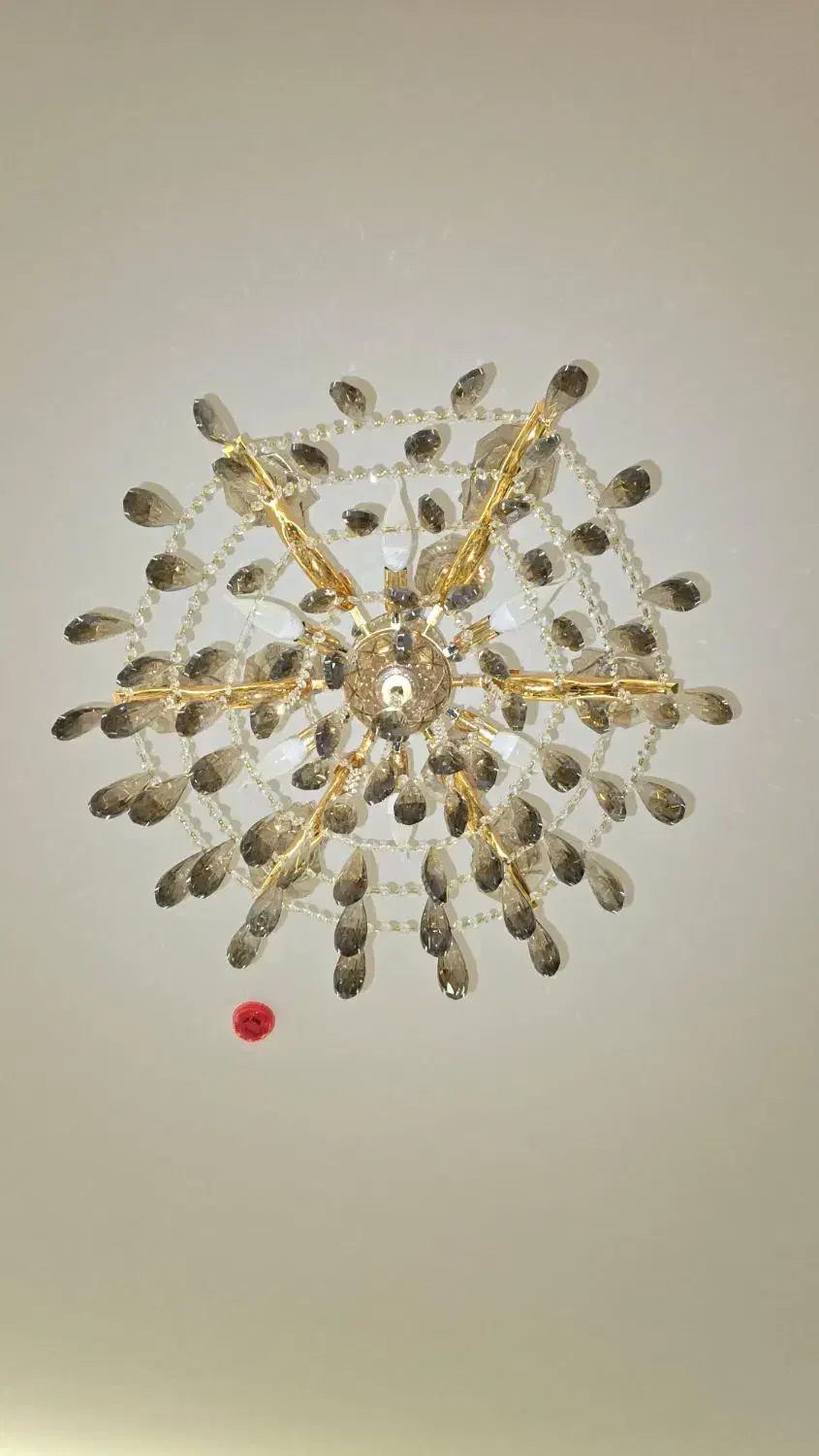 فروش لوستر|لوستر و چراغ آویز|اصفهان, باغ گلها|دیوار