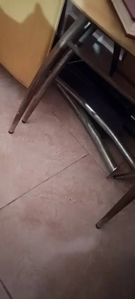 میز ناهارخوری شیشه ای دو جدار 8 نفری با صندلی هاش|میز و صندلی غذاخوری|رشت, کوی مهر|دیوار