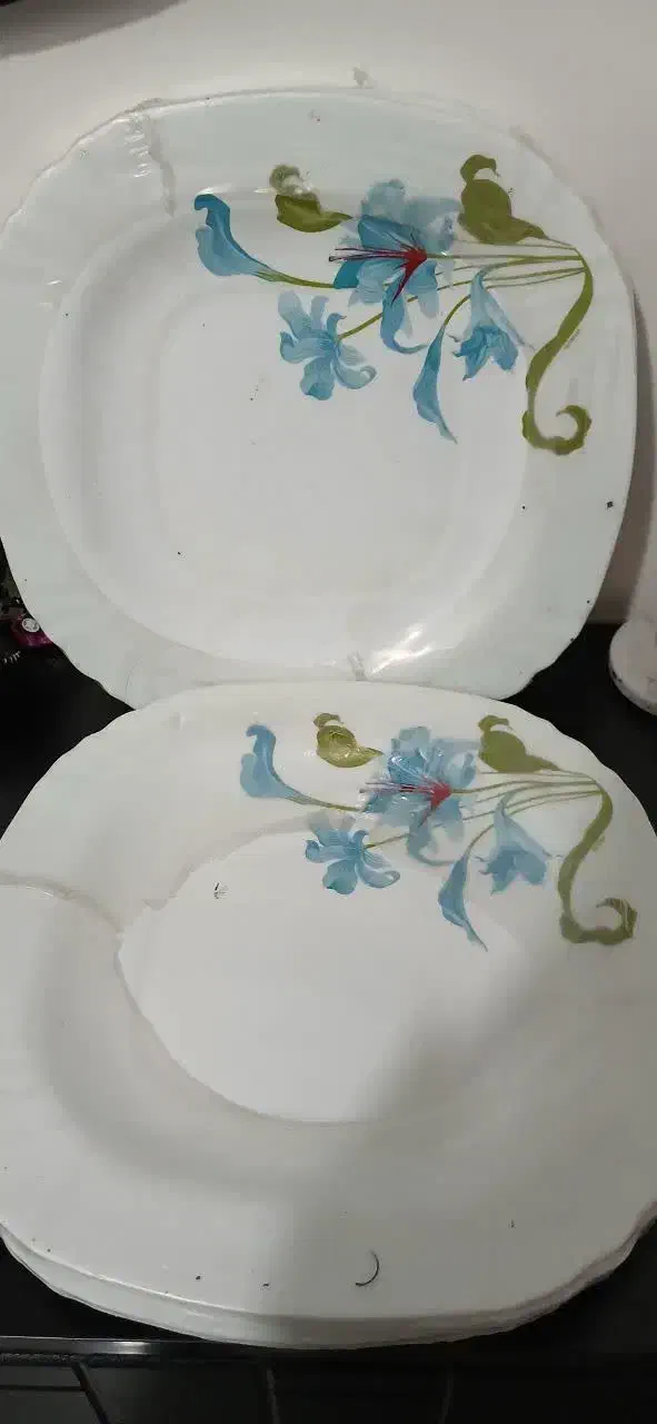 پلوخوری|ظروف سرو و پذیرایی|تهران, طیب|دیوار