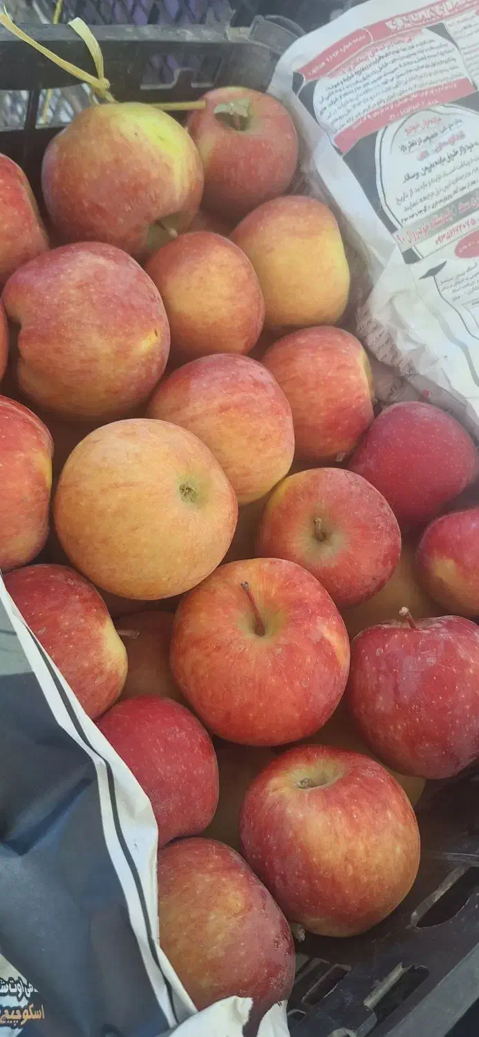 سیب استخوانی|خوردنی و آشامیدنی|قیدار, |دیوار