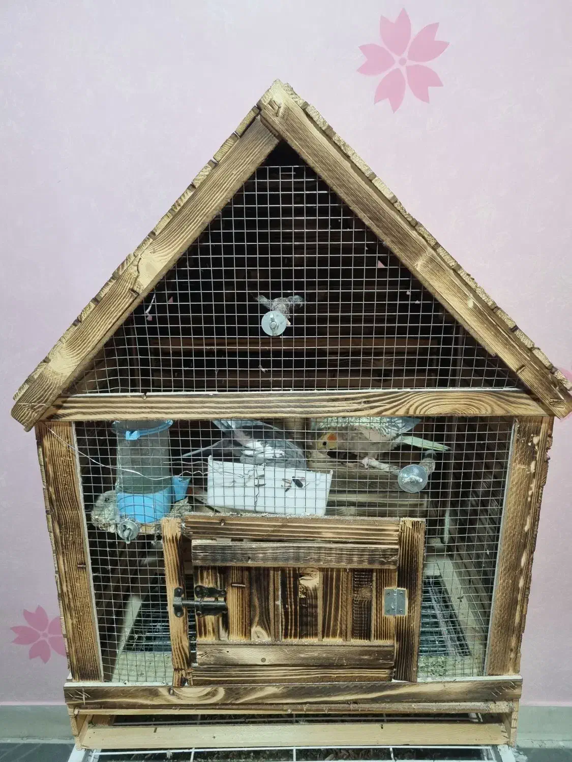 قفس پرنده|لوازم جانبی حیوانات|تهران, سجاد|دیوار