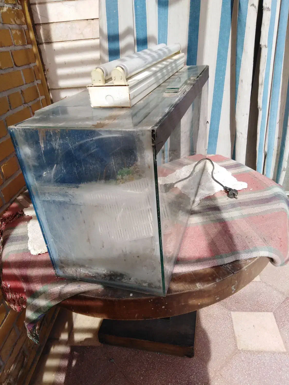 آکواریوم و میز گرد|ماهی|شیراز, شهرک جماران|دیوار