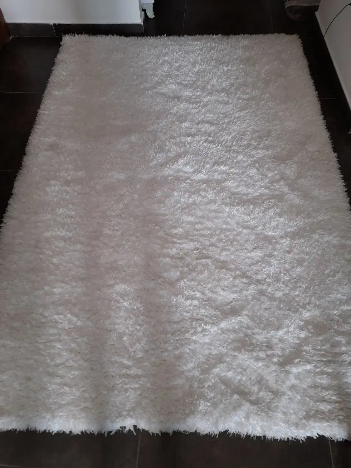 فرش ۴ متری|فرش|کیش, |دیوار