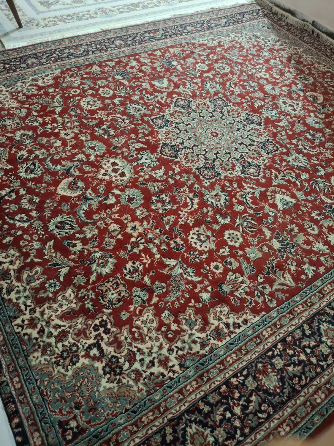 قالی|فرش|جیرفت, |دیوار