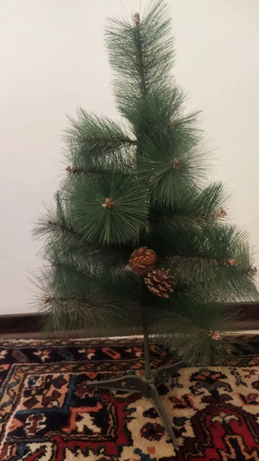 درختچه کاج|گل مصنوعی|سهند, |دیوار