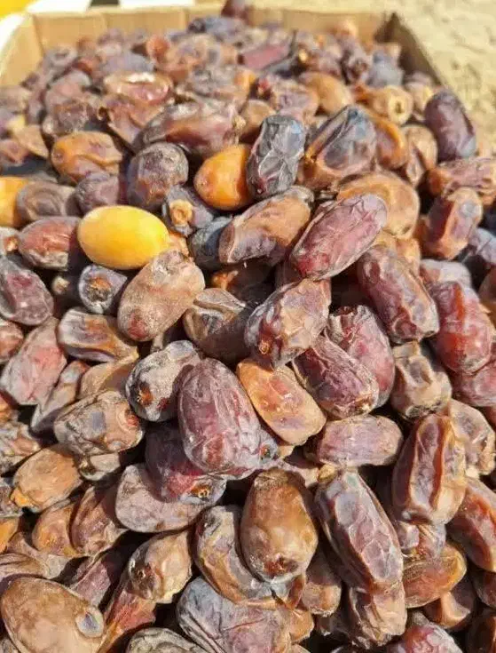 شیره خرما اعلا و خرمای درجه یک|خوردنی و آشامیدنی|اصفهان, جلفا|دیوار