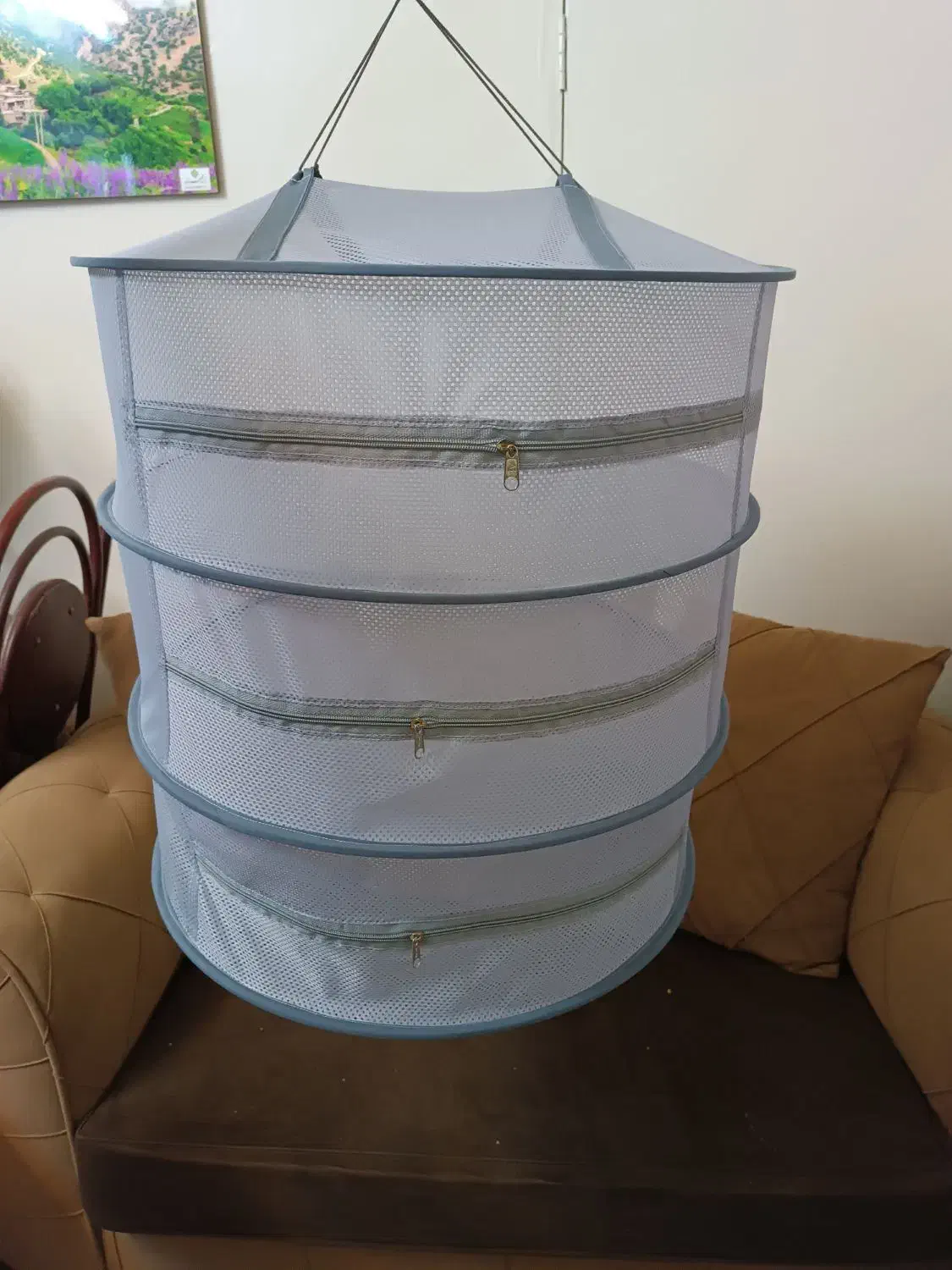 توری سبزی و‌میوه خشک کن|سفره، حوله، دستمال آشپزخانه|دوگنبدان, |دیوار