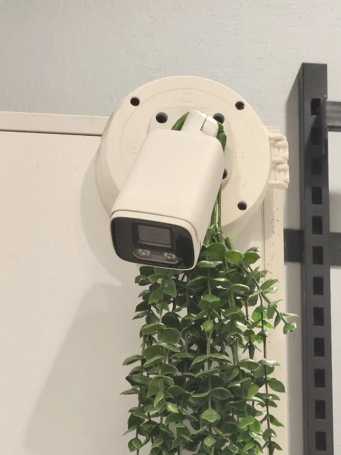 ۲عدد دوربین مداربسته|دوربین مداربسته|جویبار, |دیوار