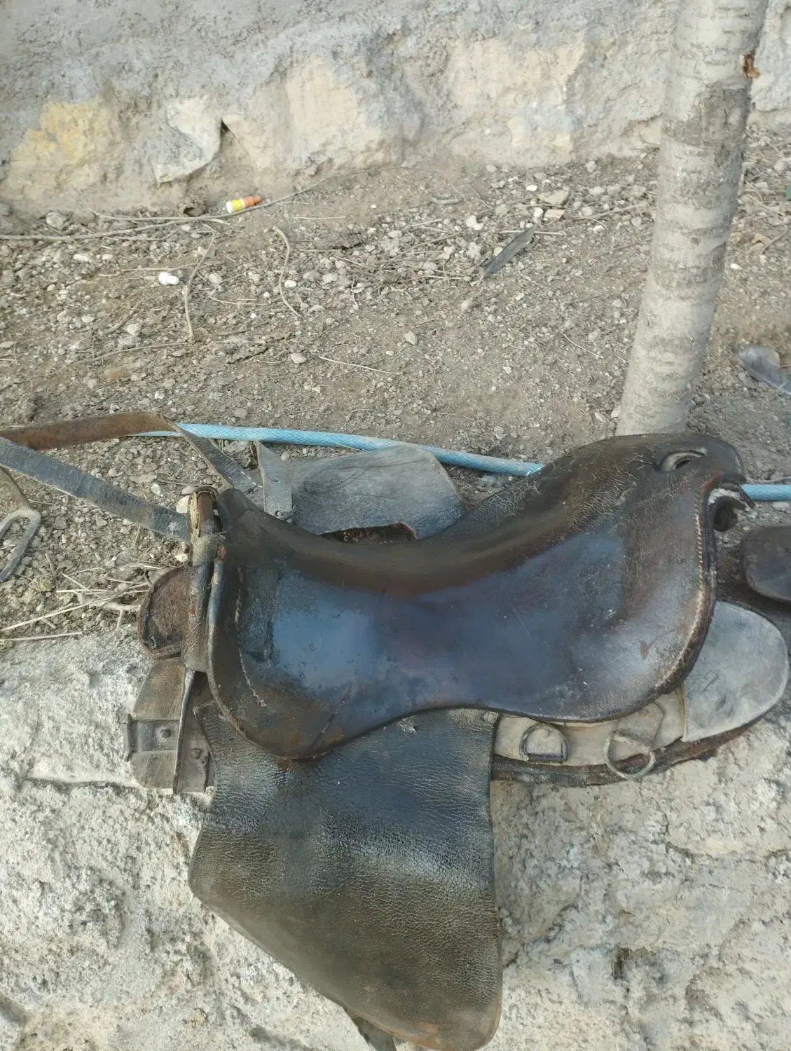 زین اسب قدیمی|اسب و تجهیزات اسب‌سواری|سرعین, |دیوار