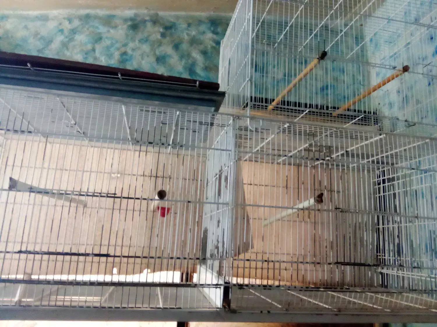 قفس پرون ۱۲۸ سانتی|لوازم جانبی حیوانات|مشهد, امیریه|دیوار