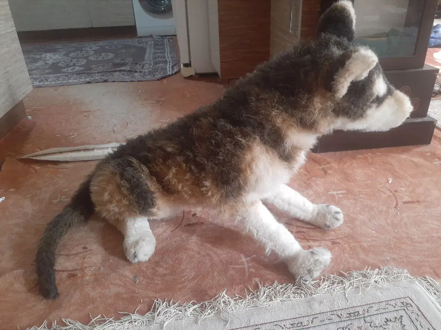 عروسک گرگ بزرگ|اسباببازی|کاشان, فاز ۲ ناجی آباد|دیوار