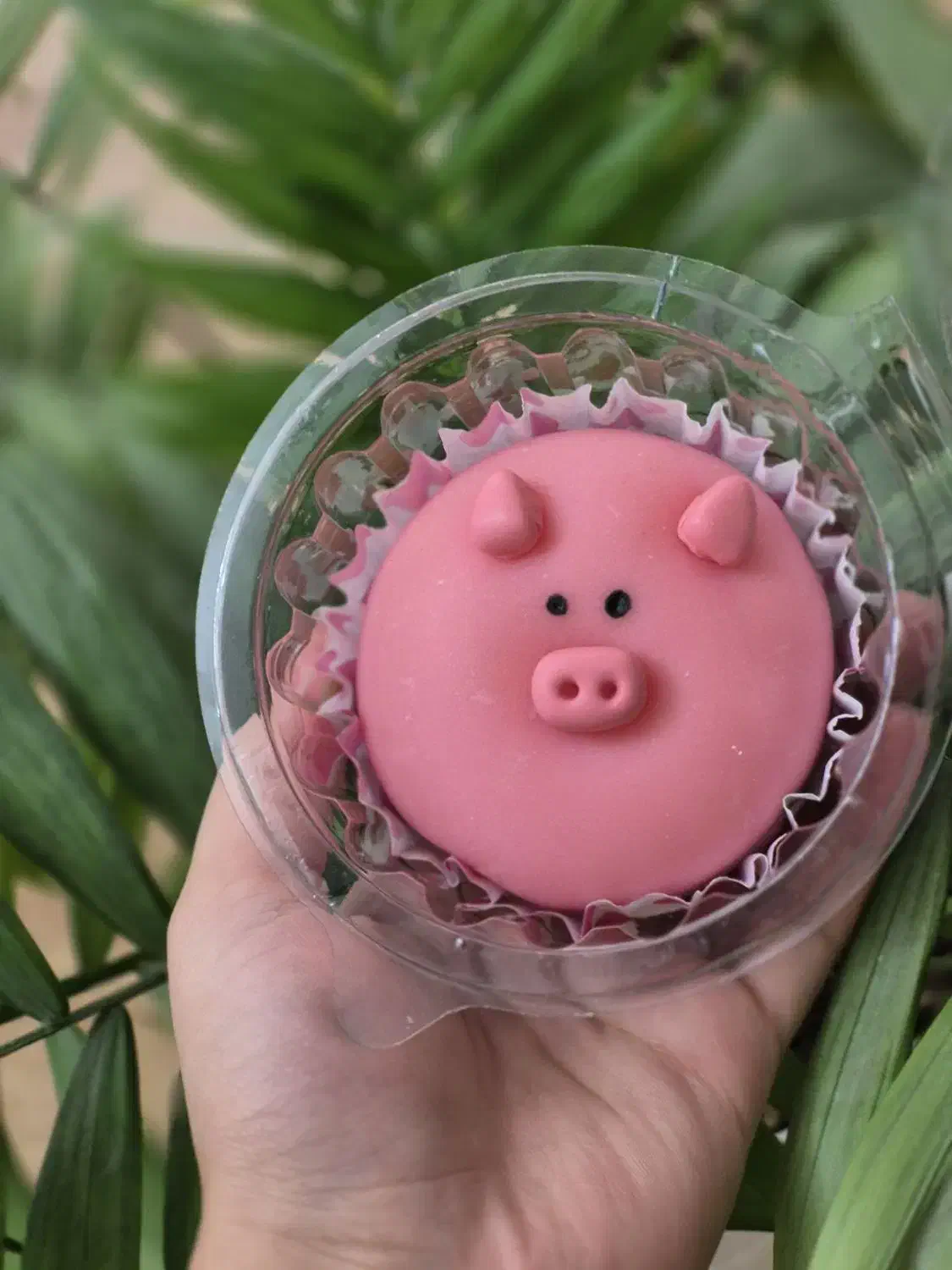 موچی با مواد اصلی خود موچی|خوردنی و آشامیدنی|رشت, شالکو|دیوار