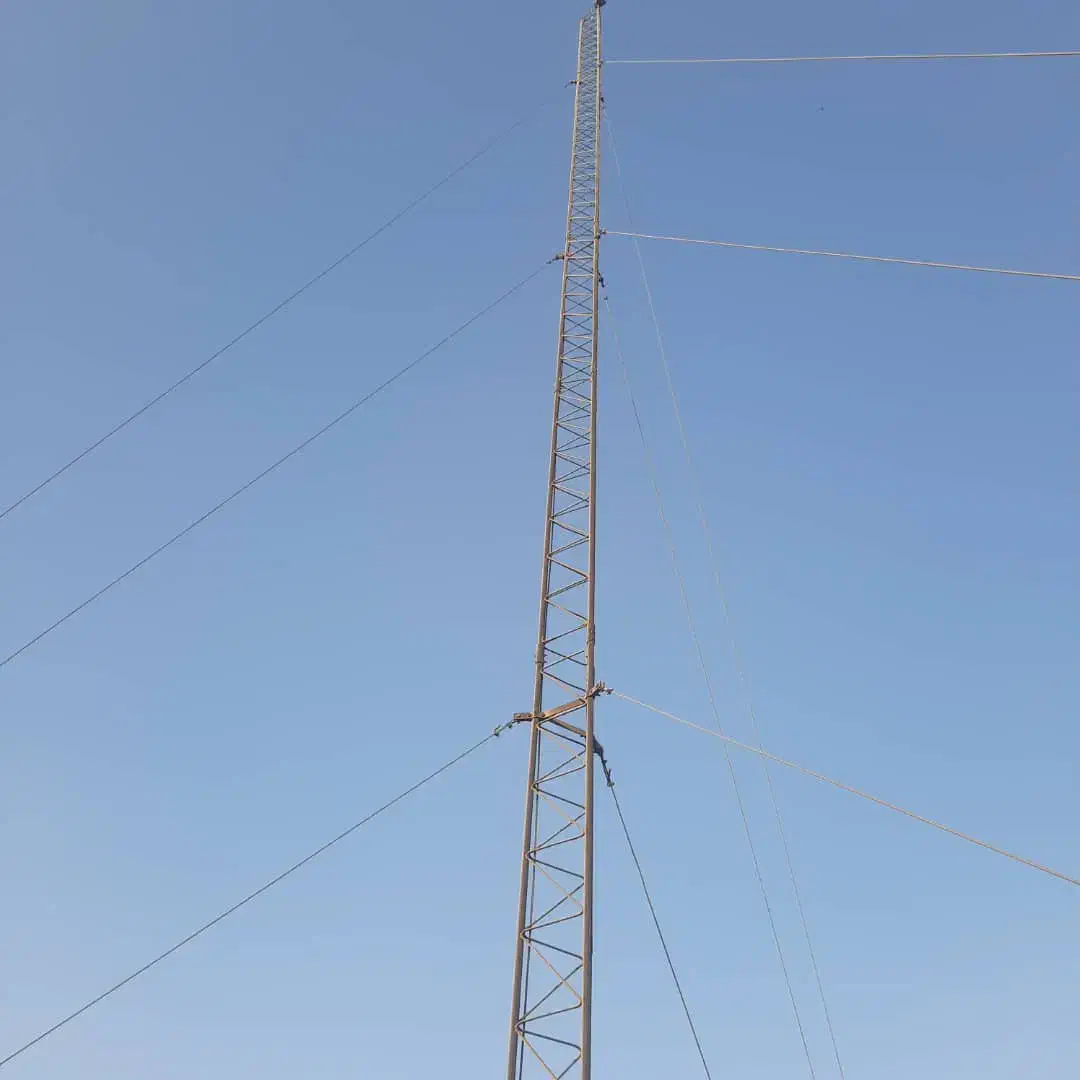 دکل مهاری.نصب.خریدوفروش.ارت.ریگلاژ|خدمات پیشه و مهارت|اصفهان, مرداویج|دیوار