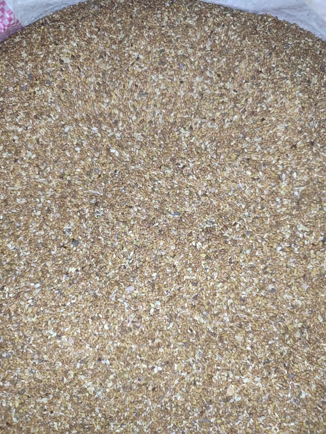 تخم یونجه|خدمات باغبانی و درختکاری|معصومیه, |دیوار