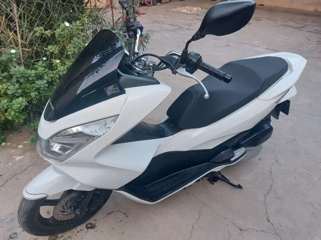 کیف تفنگ بادی pcx|کوهنوردی و کمپینگ|برازجان, |دیوار