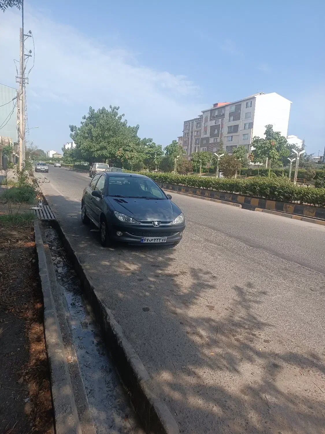 206تیپ دو مدل 99|خودرو سواری و وانت|بندر انزلی, جهانگانی|دیوار