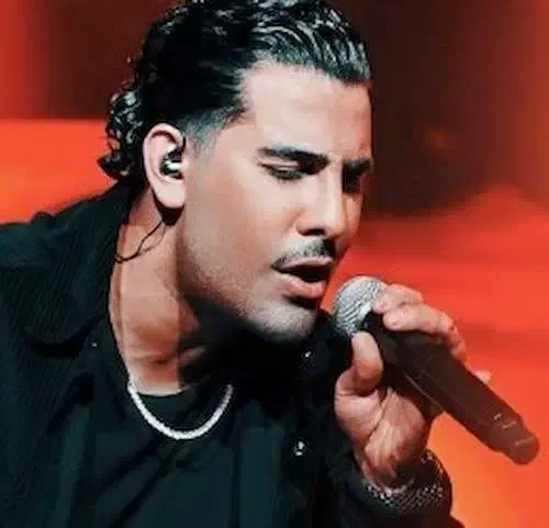 ۲ عدد مجید رضوی ردیف ۴ روبه روی استیج، قیمت خودش|بلیت کنسرت|تهران, نیروی هوایی (پیروزی)|دیوار