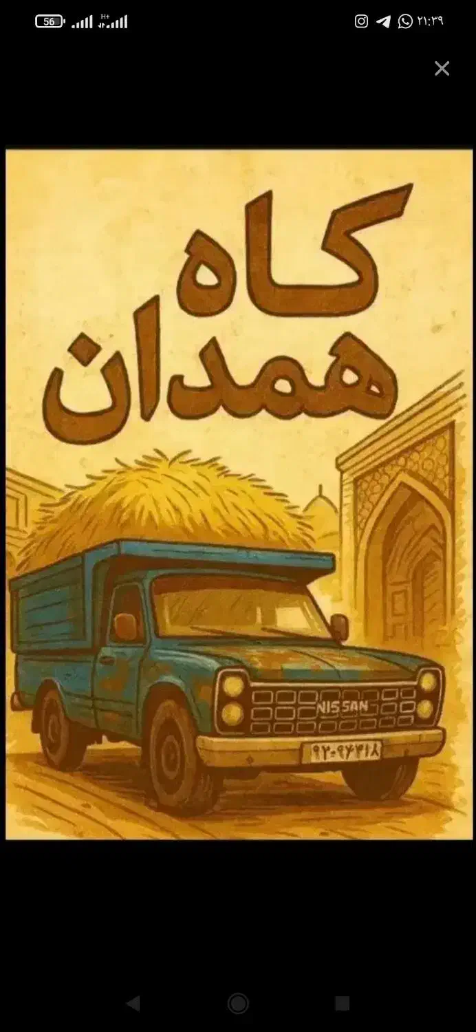 خرید کاه|عمده‌فروشی|کبودرآهنگ, |دیوار